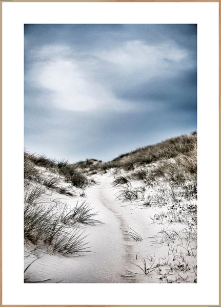 The path | FRAMED PRINT