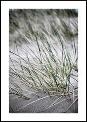 Wild straws | FRAMED PRINT