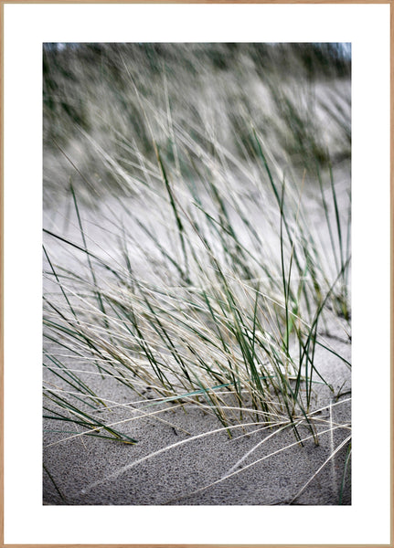 Wild straws | FRAMED PRINT